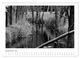 Thumbnail-14