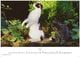 Thumbnail-12