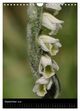 Thumbnail-12