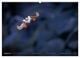 Thumbnail-10