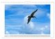 Thumbnail-12