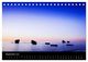 Thumbnail-14