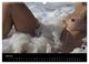 Thumbnail-10