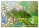 Thumbnail-10