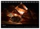 Thumbnail-12