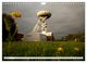 Thumbnail-9
