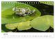 Thumbnail-9