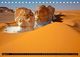 Thumbnail-7