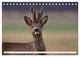 Thumbnail-10