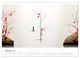 Thumbnail-11