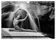 Thumbnail-11