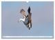 Thumbnail-10