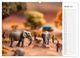 Thumbnail-11