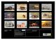 Thumbnail-4