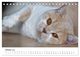 Thumbnail-12