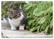 Thumbnail-8