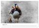 Thumbnail-10