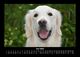 Thumbnail-10