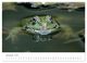 Thumbnail-14