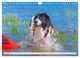 Thumbnail-14