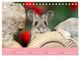 Thumbnail-9