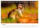 Thumbnail-7