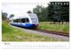 Thumbnail-7