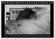 Thumbnail-11