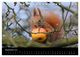 Thumbnail-14