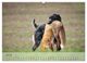 Thumbnail-12