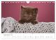 Thumbnail-11
