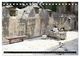 Thumbnail-13