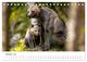 Thumbnail-12