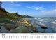 Thumbnail-2
