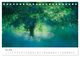 Thumbnail-10