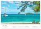 Thumbnail-11