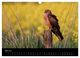 Thumbnail-7