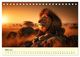 Thumbnail-8