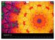 Thumbnail-11