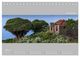 Thumbnail-12