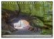 Thumbnail-8