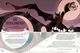 Thumbnail-9