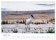 Thumbnail-12