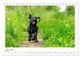 Thumbnail-11