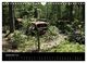 Thumbnail-11