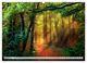 Thumbnail-9
