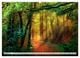 Thumbnail-10