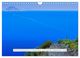 Thumbnail-13