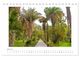 Thumbnail-12