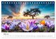 Thumbnail-8